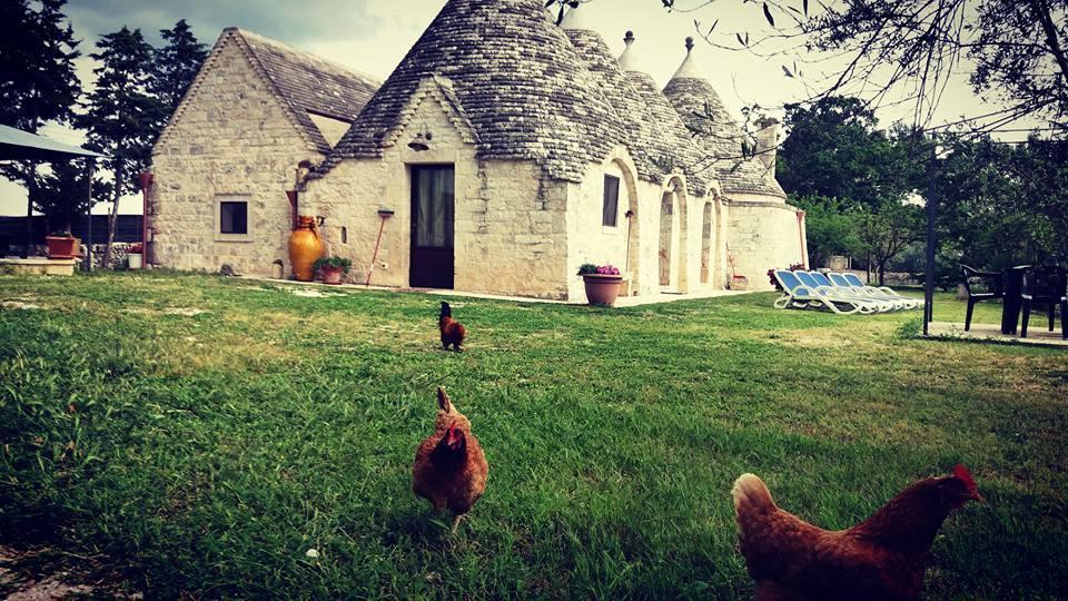 B&B Masseria Nardelli Locorotondo Exterior photo